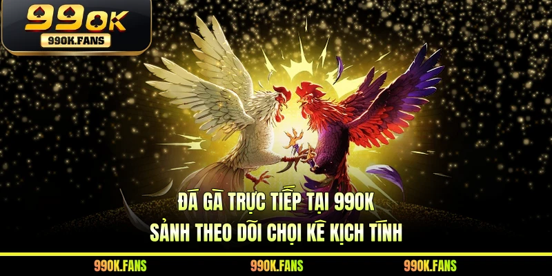 Đá Gà Trực Tiếp Tại 99OK - Sảnh Theo Dõi Chọi Kê Kịch Tính